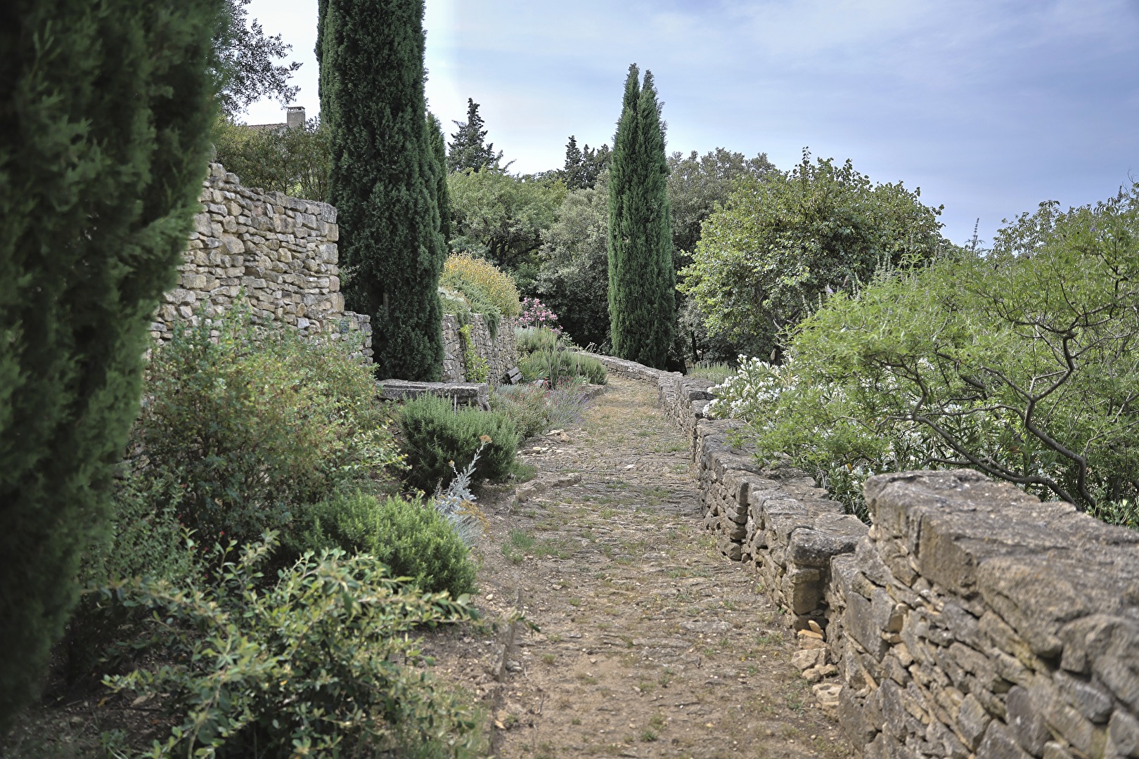 Sentier bordé de pierres sèches et de cyprès à Vénéjan